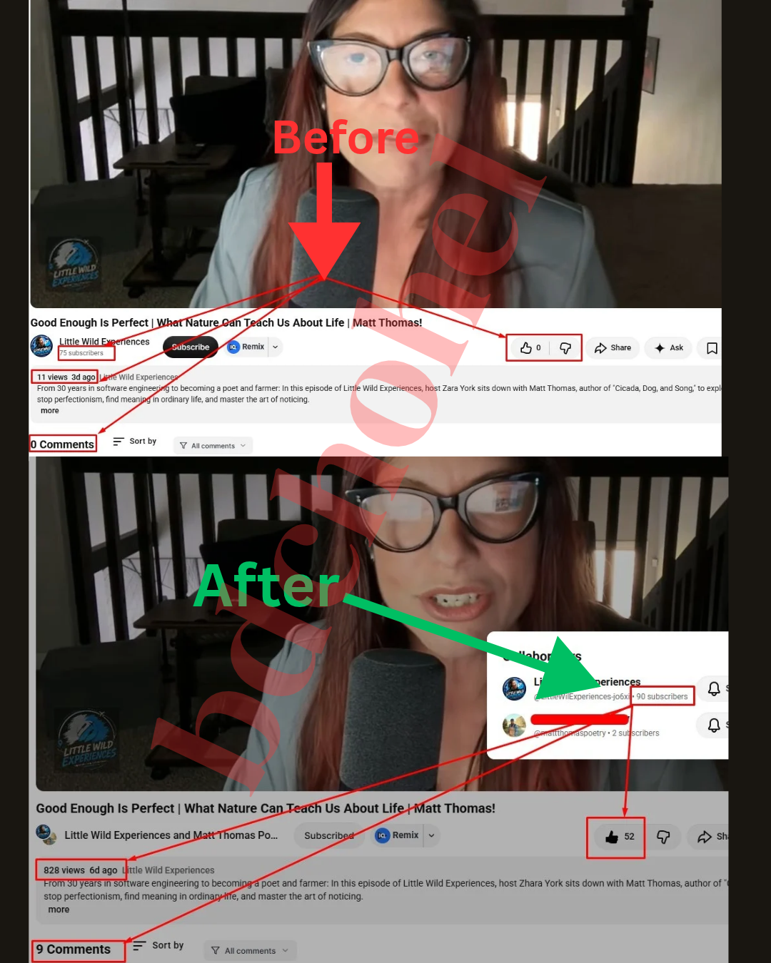 YouTube SEO Test Project: Podcast Episode Reaches 828 Views in 3 Days thumbnail